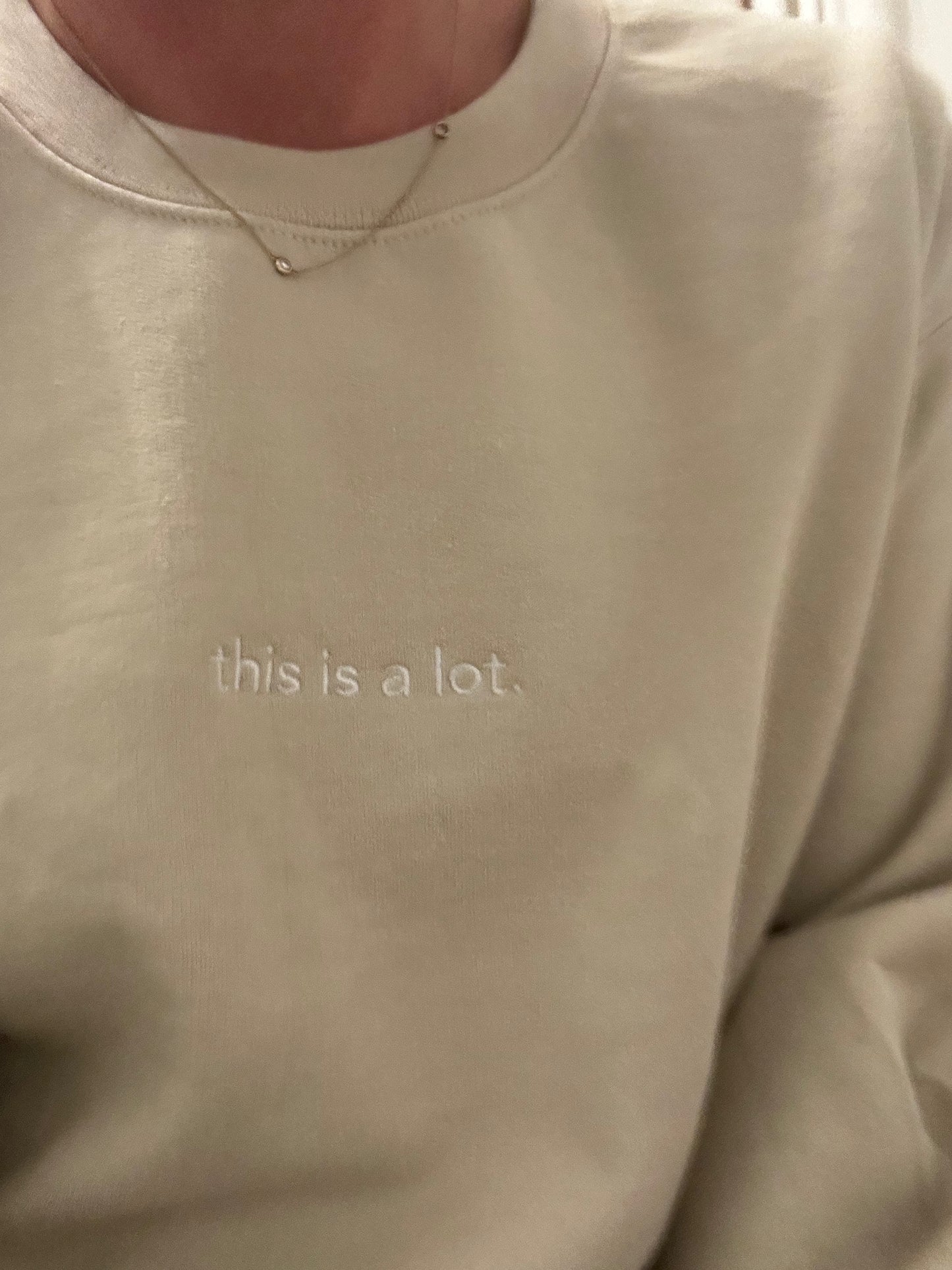 Crewneck Sweatshirt
